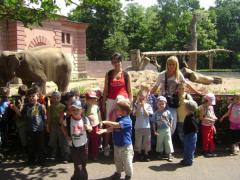 Maluchy z Walimia pojechały do ZOO